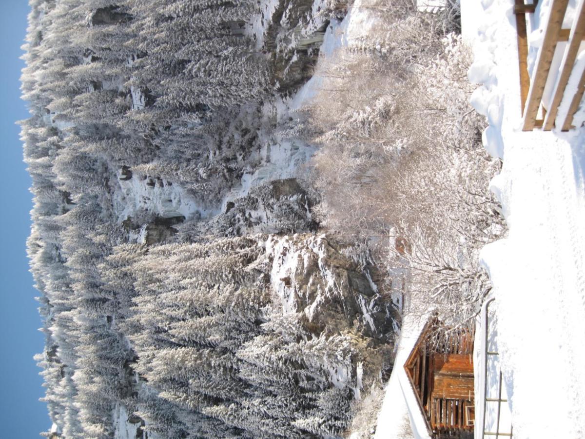 Alpina Appartement Sankt Leonhard im Pitztal Exterior foto