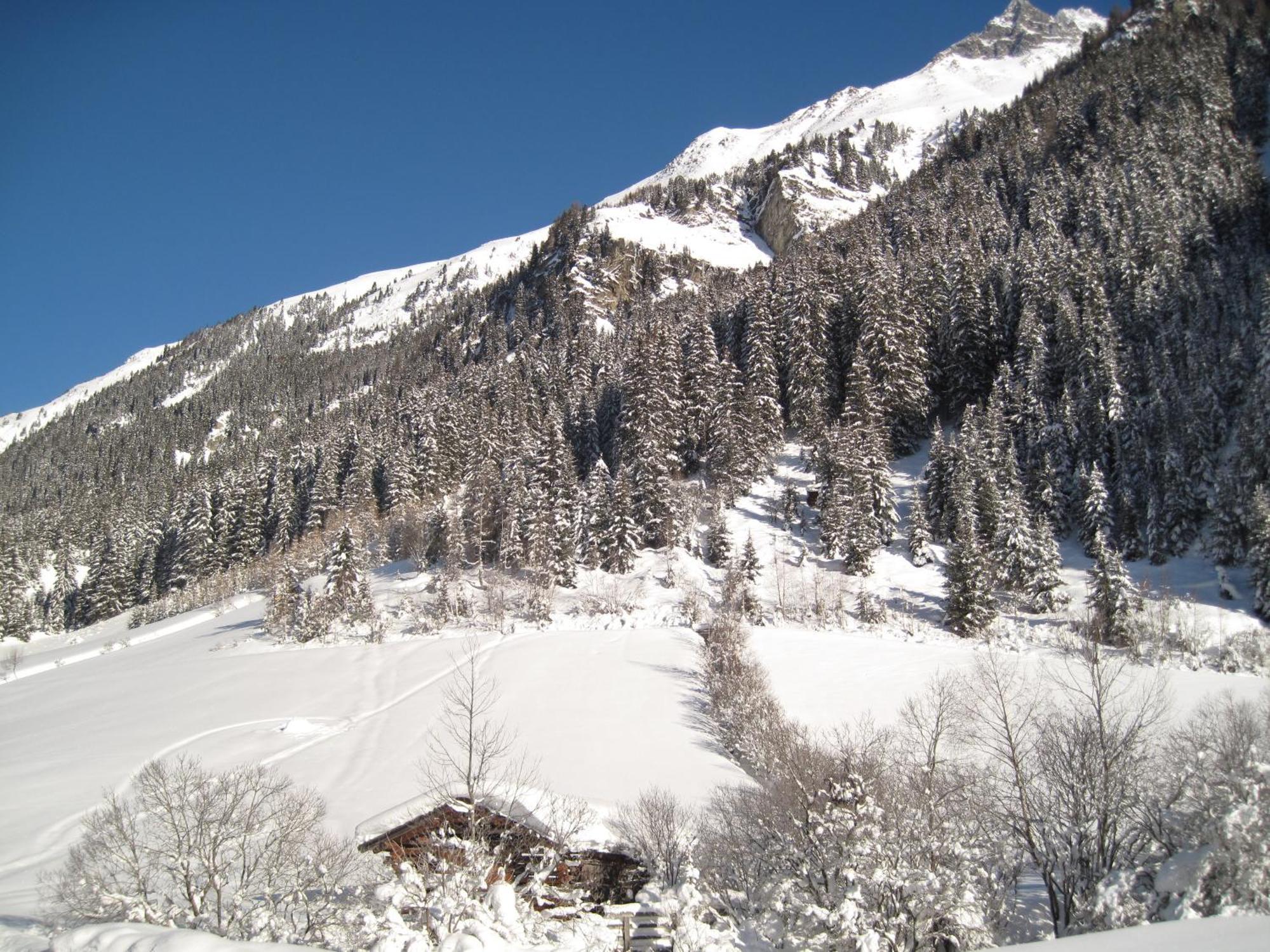 Alpina Appartement Sankt Leonhard im Pitztal Exterior foto